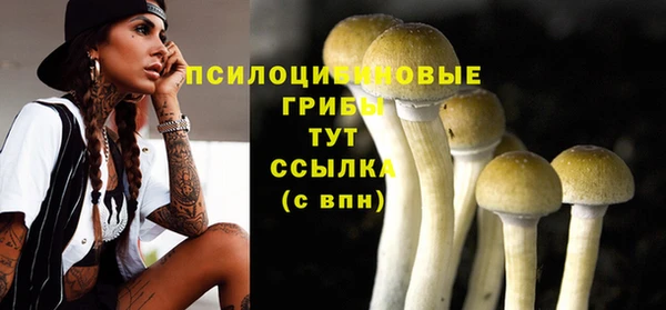 амф Кодинск
