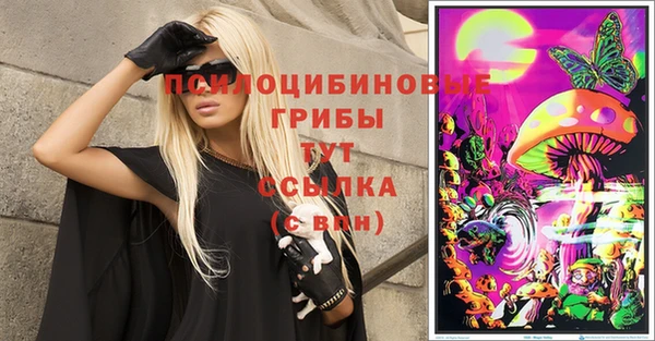 шишки Баксан