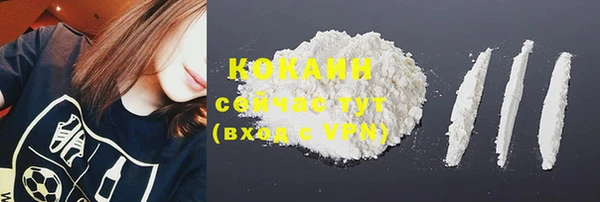 шишки Баксан