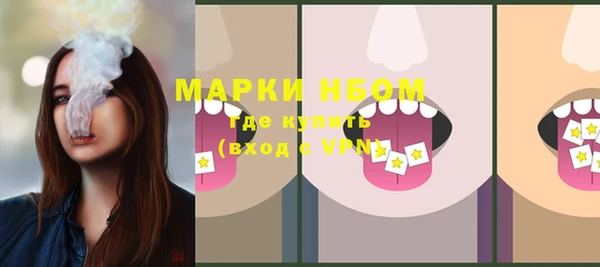шишки Баксан