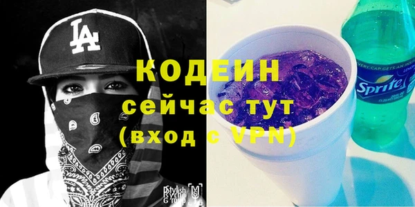 шишки Баксан
