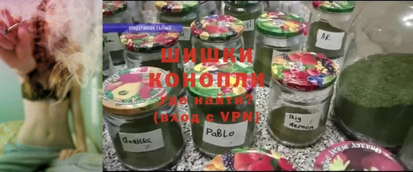 шишки Баксан
