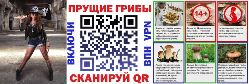 цена   Бежецк  Псилоцибиновые грибы ЛСД 