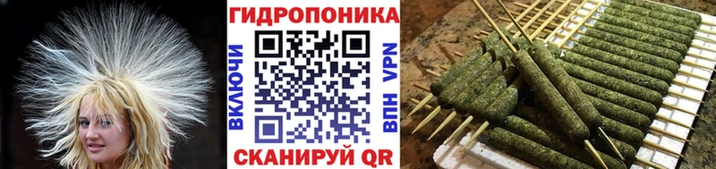 Марихуана OG Kush  Бежецк 